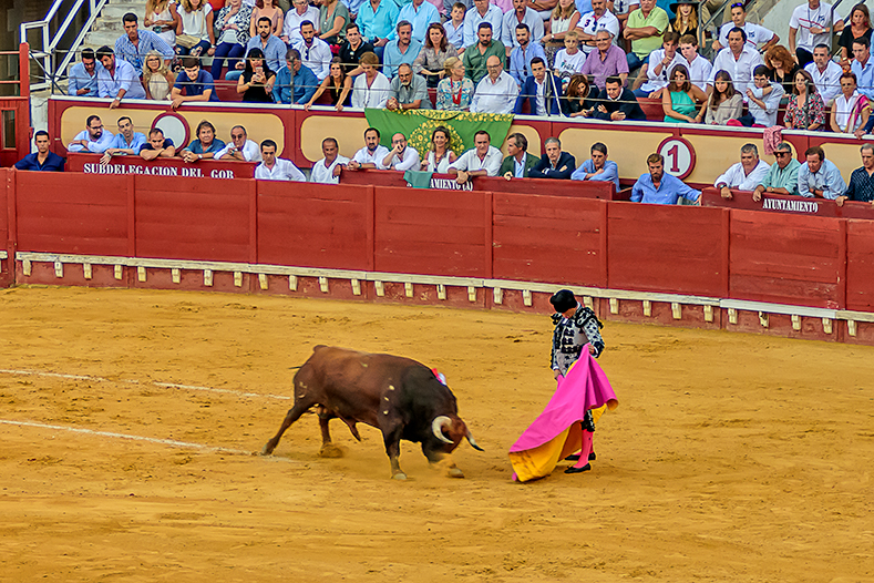 Corrida, fanouškem se nestanu